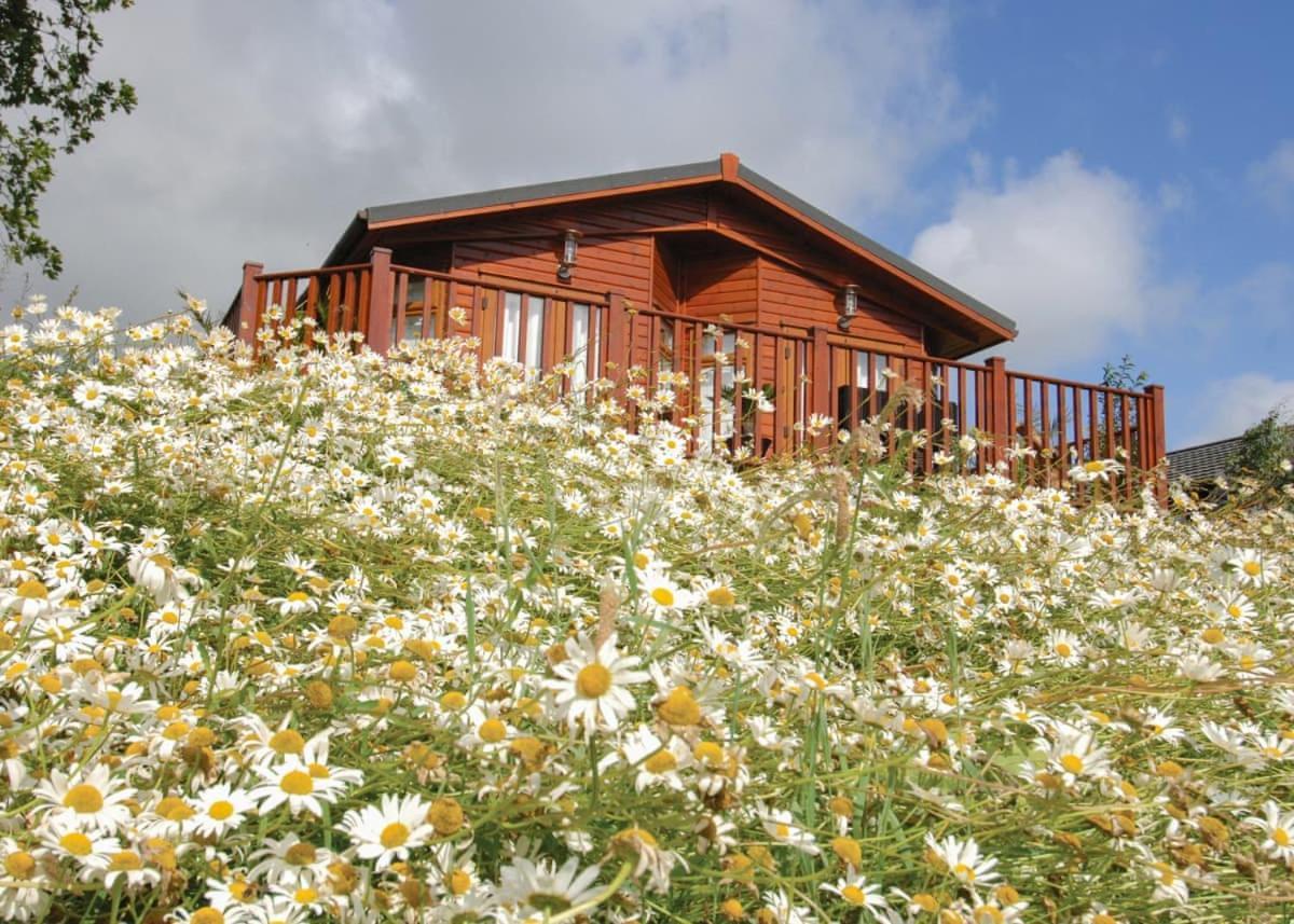 Hornbeam Country Park Hotel Honiton Exterior photo